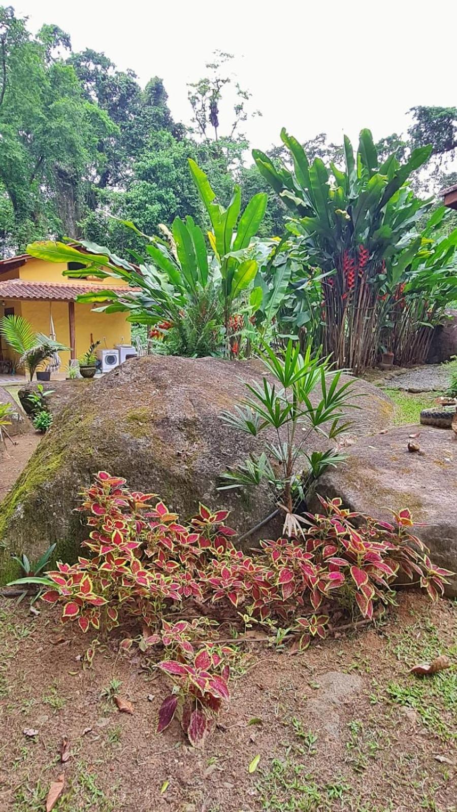 Recanto Da Margo 1, Casa Com Acesso A Cachoeira Parati Exterior foto