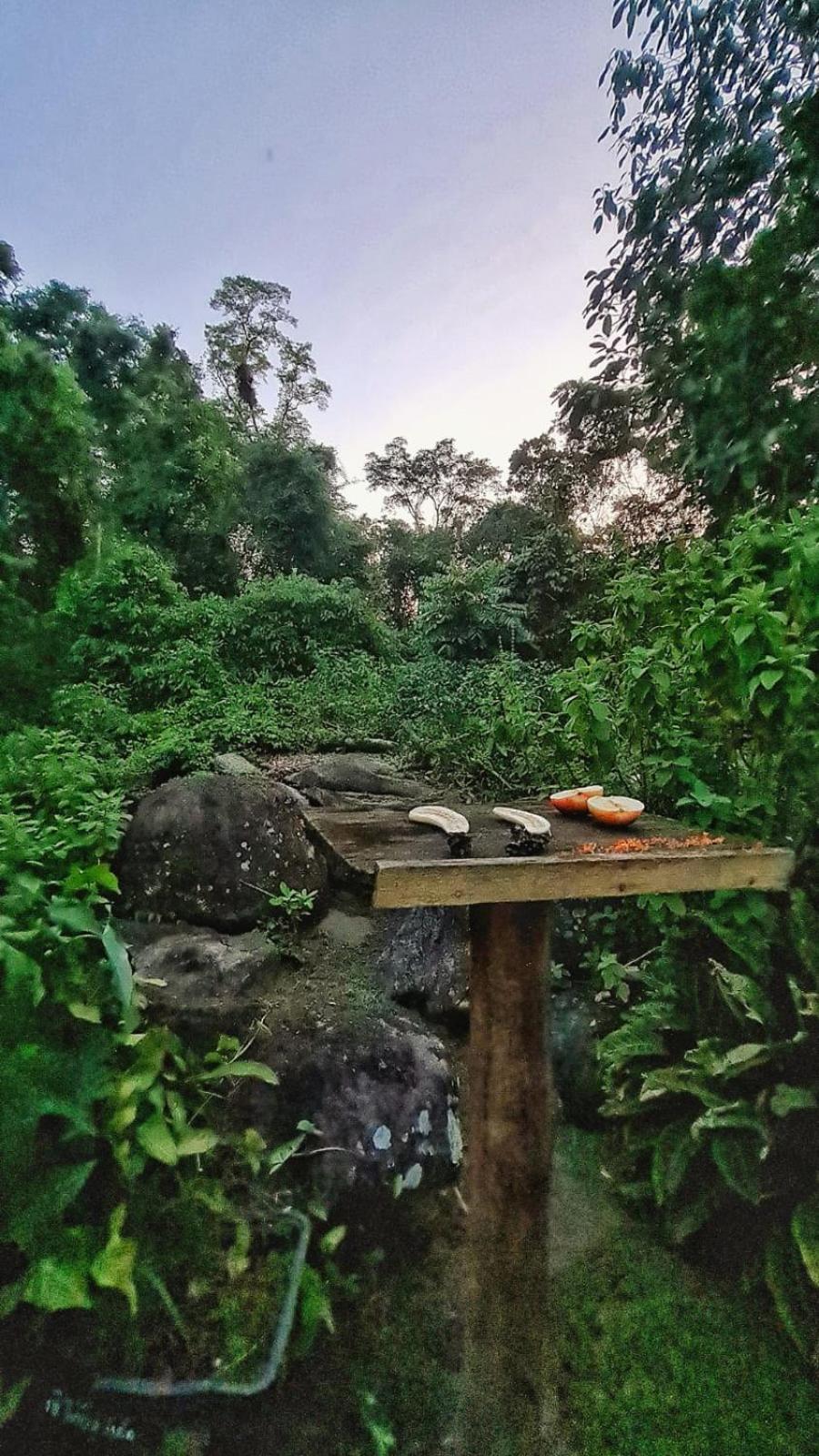 Recanto Da Margo 1, Casa Com Acesso A Cachoeira Parati Exterior foto