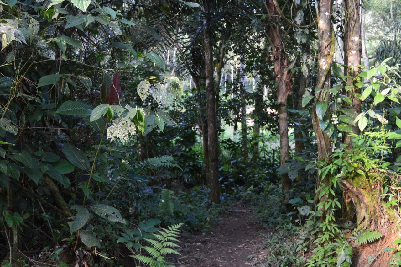 Recanto Da Margo 1, Casa Com Acesso A Cachoeira Parati Exterior foto
